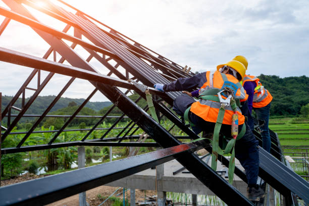 Best Storm Damage Roof Repair  in Merrill, IA