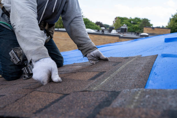 Best Storm Damage Roof Repair  in Merrill, IA