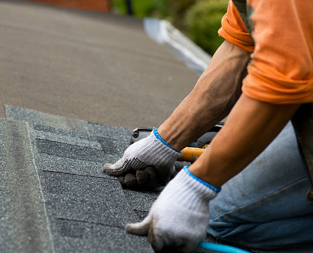 Best Commercial Roofing Services  in Merrill, IA