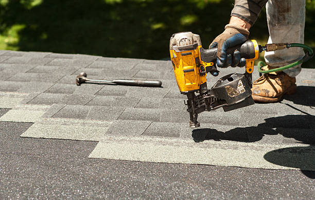 Best Roof Gutter Cleaning  in Merrill, IA
