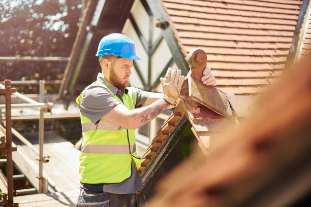 Best Residential Roof Replacement  in Merrill, IA
